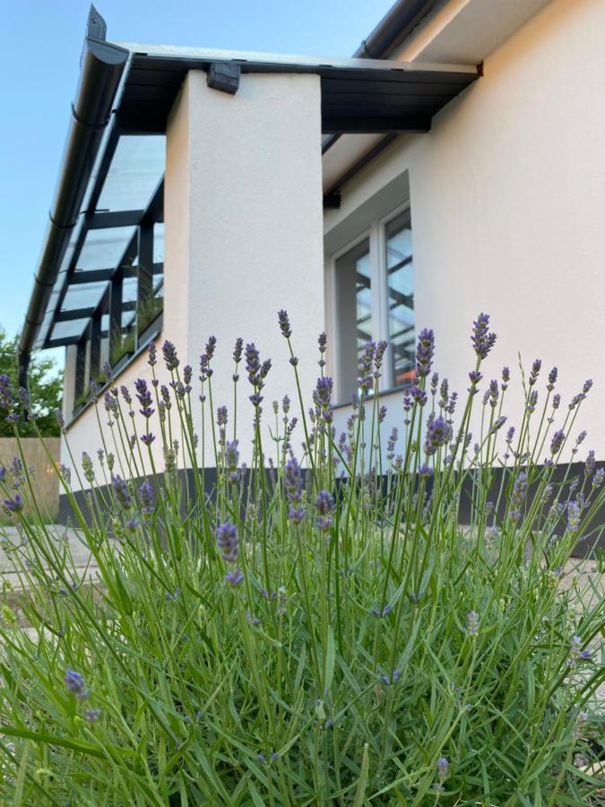 Lavender Garden Apartment Debrecen Exterior foto